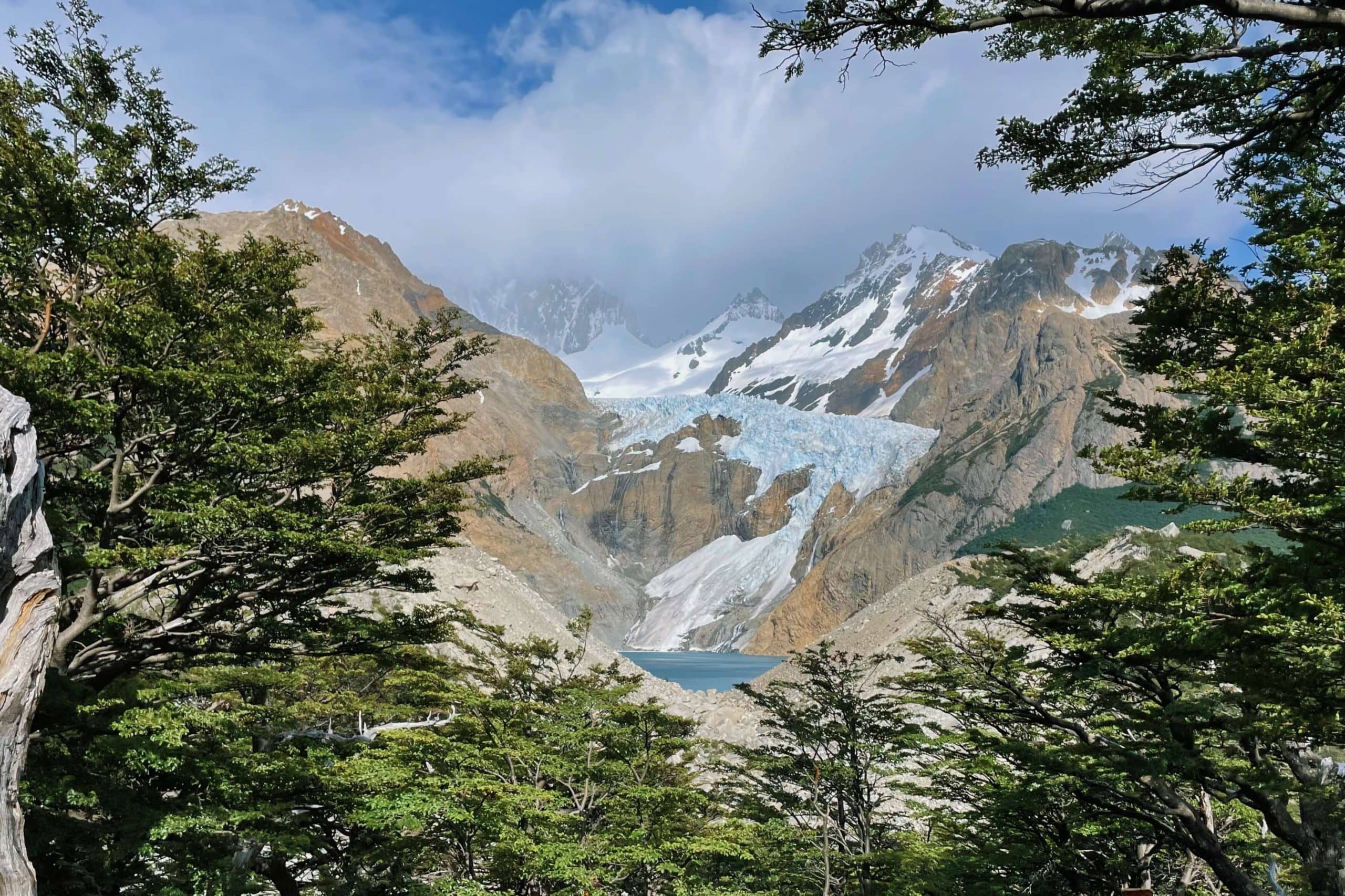 Mountain landscape with forest with glacier in center.