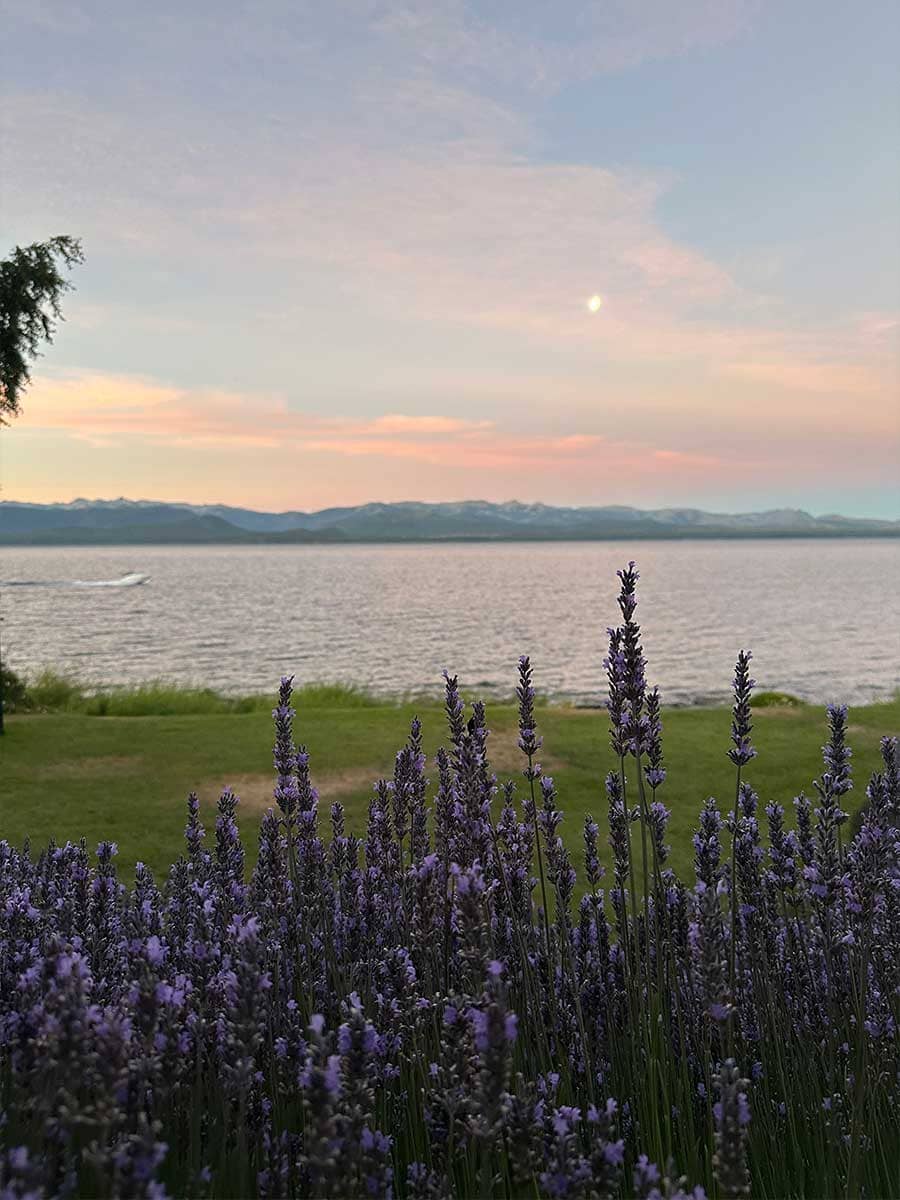 Dawn by the lakeshore