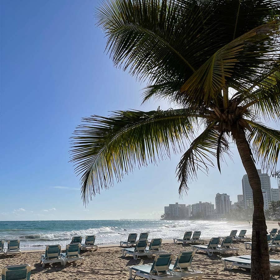 Magdalena traveler review