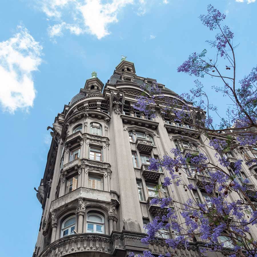 Otto Wulf con jacarandá Buenos Aires travel