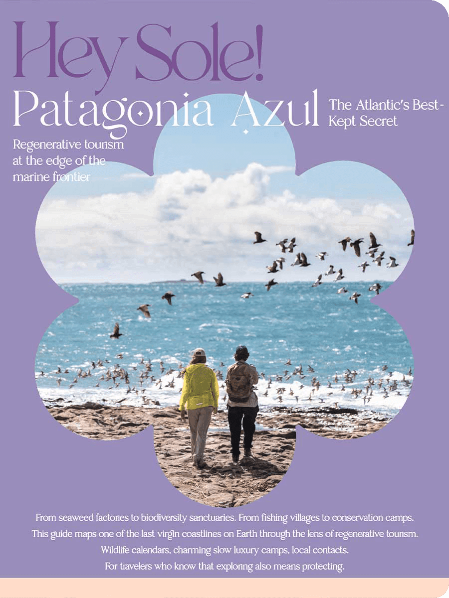 Patagonia Azul: la costa salvaje y los secretos del Mar del Atlántico Sur